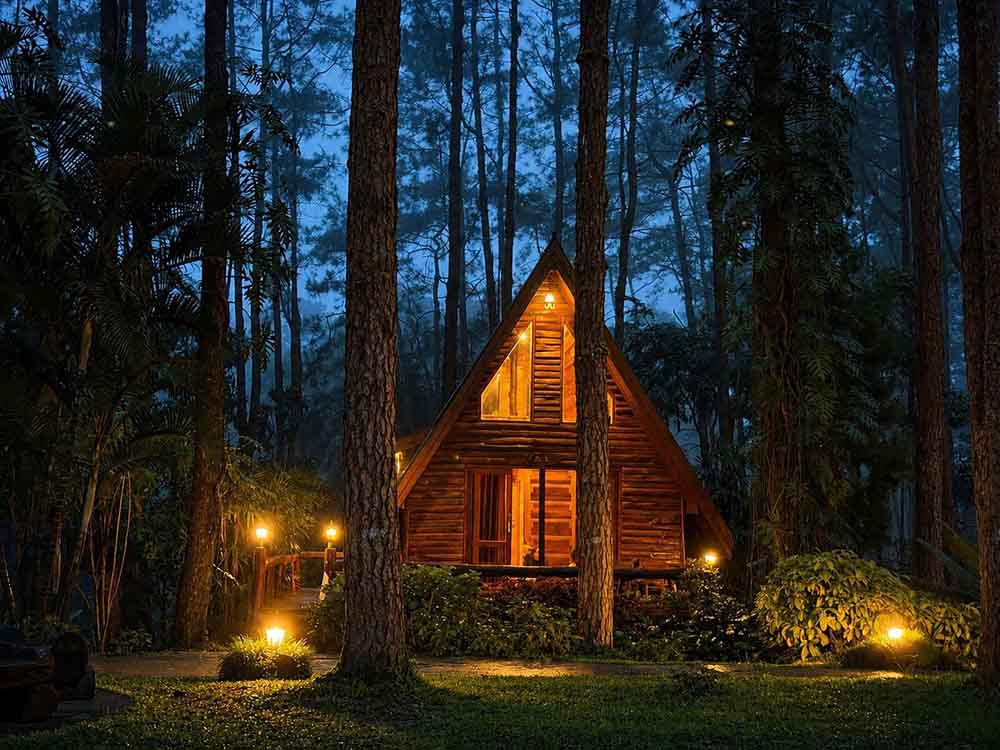 Doi Bo Luang Forest Park Forest |  Chiang Mai