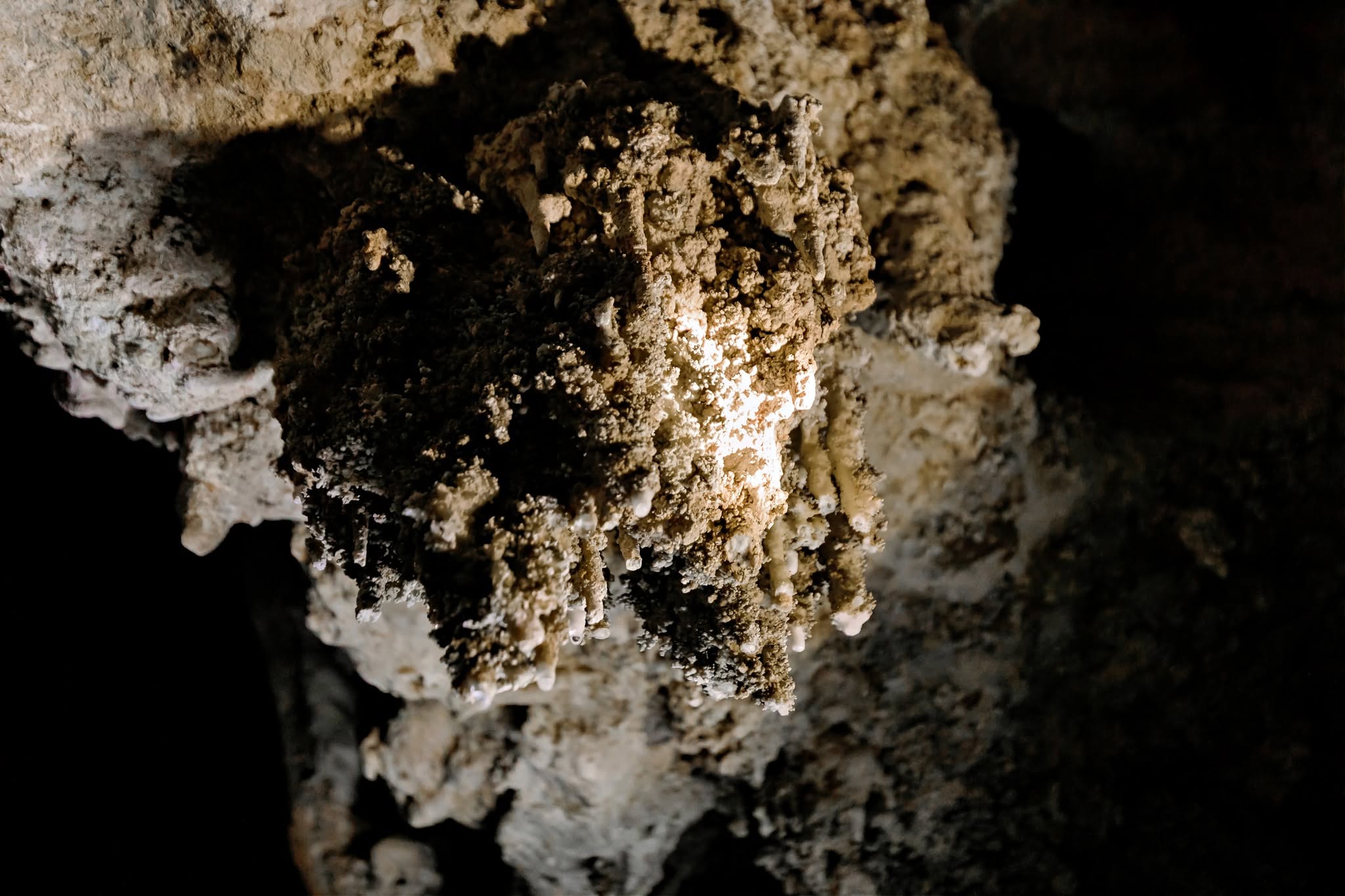 Coral Cave, Khao Phang Subdistrict | Surat Thani