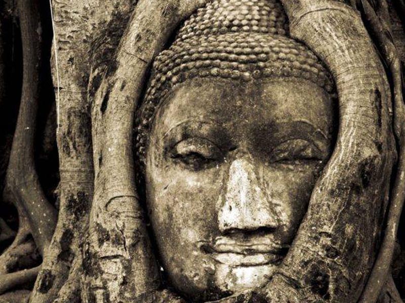Wat Phra Mahathat (วัดมหาธาตุ ) Ayutthaya 1695310603Thailand01.jpg
