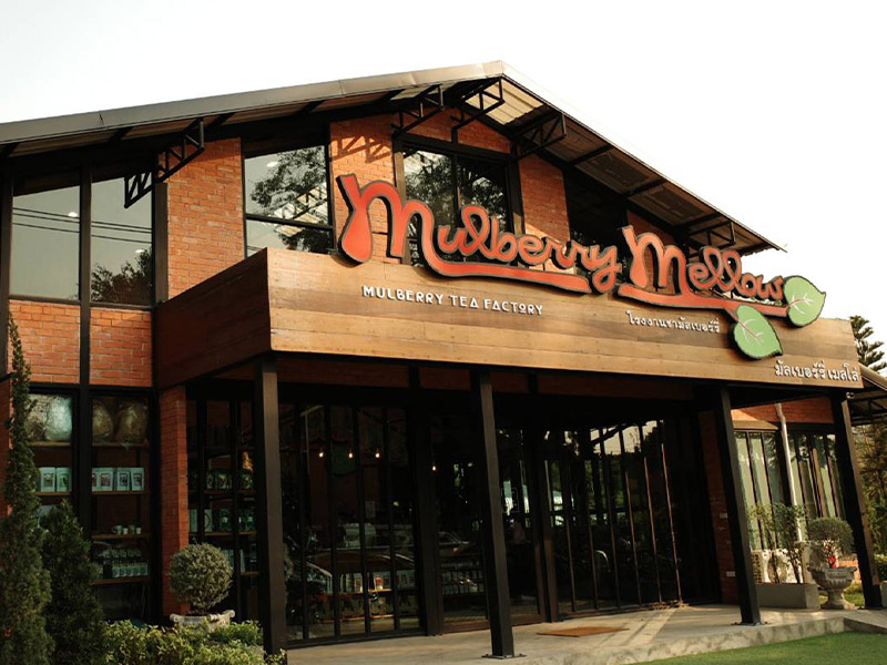 Mulberry Mellow Cafe (มัลเบอร์รี่ เมลโลว์) Kanchanaburi 1696428864Thailand01.jpg