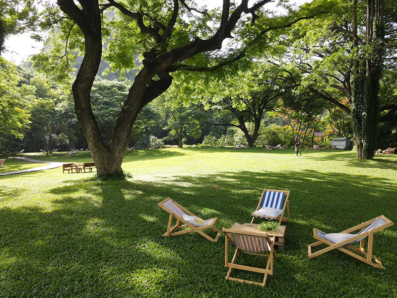 Mulberry Mellow Cafe (มัลเบอร์รี่ เมลโลว์) Kanchanaburi 1696428864Thailand02.jpg