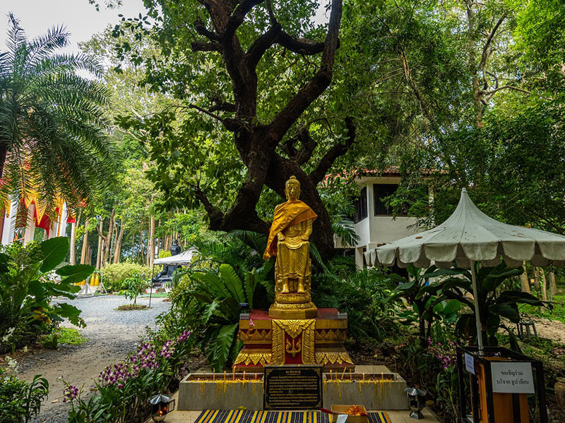 อุโมงค์ป่าไผ่ (Bamboo Forest Tunnel) วัดจุฬาภรณ์วนาราม นครนายก 1732377010Sayhithailand02.jpg