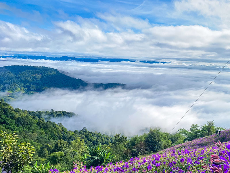 ม่อนแจ่ม (Mon Cham @ ChiangMai ) เชียงใหม่ สัมผัสลมหนาว ชมทะเลหมอก 1732428817Sayhithailand02.jpg