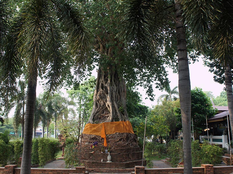 Wat Na Phra Men (วัดหน้าพระเมรุ ) Ayutthaya 1732453360Sayhithailand03.jpg