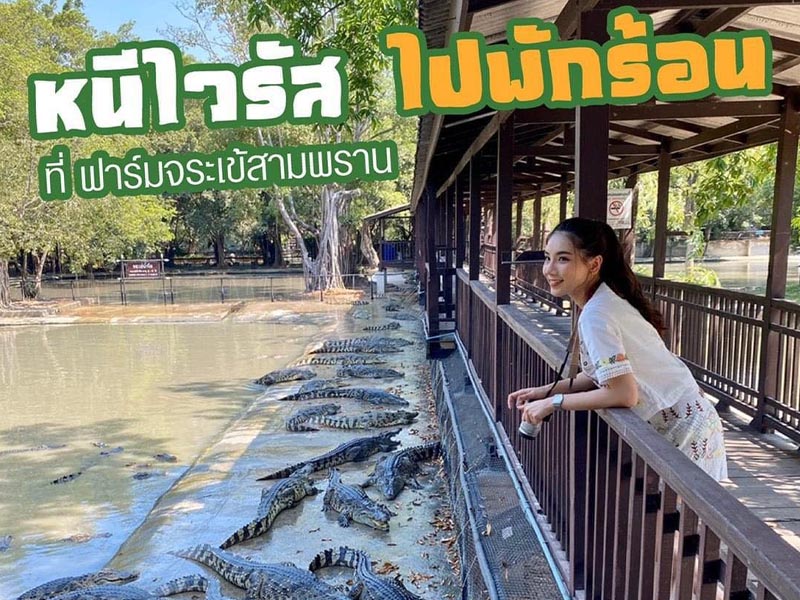 เที่ยวชมโชว์ช้าง Samphran Elephant Ground & Zoo ลานแสดงช้างและฟาร์มจระเข้สามพราน นครปฐม 1732806509Sayhithailand01.jpg