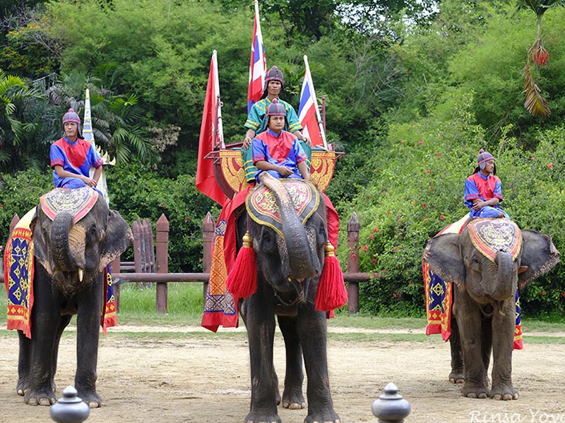 เที่ยวชมโชว์ช้าง Samphran Elephant Ground & Zoo ลานแสดงช้างและฟาร์มจระเข้สามพราน นครปฐม 1732806613Sayhithailand02.jpg