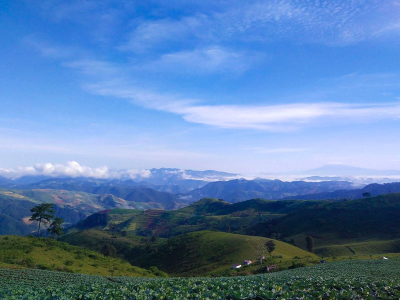 ดอยแม่โถ (Doi Mae Tho) ดินแดนสวรรค์ทุ่งหญ้ากว้าง ม่อนแจ่ม เชียงใหม่ 1733147203Sayhithailand01.jpg