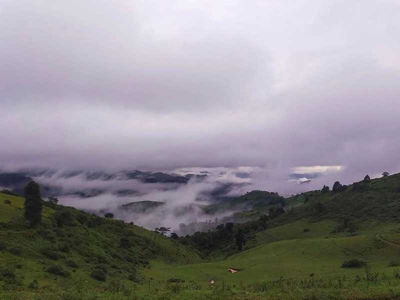 ดอยแม่โถ (Doi Mae Tho) ดินแดนสวรรค์ทุ่งหญ้ากว้าง ม่อนแจ่ม เชียงใหม่ 1733147580Sayhithailand02.jpg