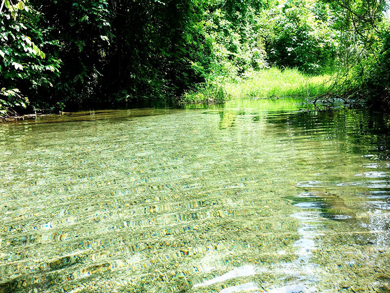 น้ำพุร้อนธรรมชาติไทรงาม (Sai Ngam Hot Spring ) |แม่ฮ่องสอน 1733320586Sayhithailand02.jpg