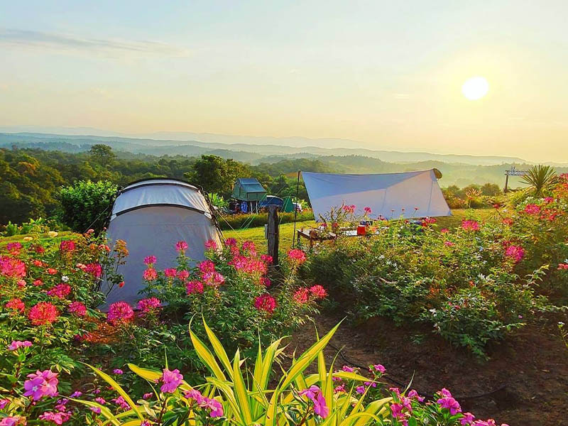ฮักดอย แคมป์ปิ้ง (Hugdoi Camping ) ลานกางเต็นท์วิวหมอก | เชียงใหม่ 1733588076Sayhithailand03.jpg