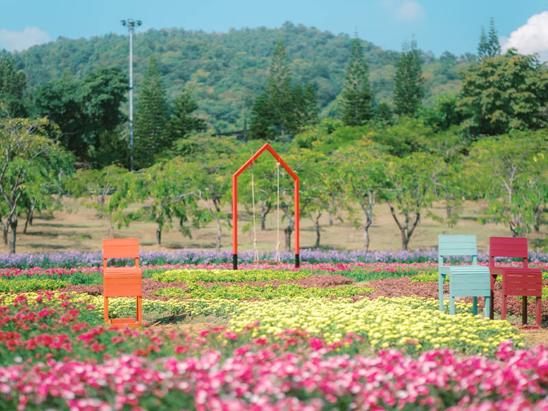 อุทยานหลวงราชพฤกษ์ (Royal Park Rajapruek) จ.เชียงใหม่ 1733641069Sayhithailand03.jpg