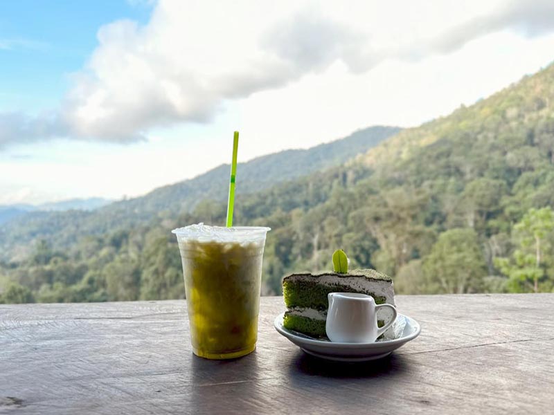 พาเที่ยว ไร่ชาลุงเดช ( Uncle Det's Tea Plantation ) แม่แตง เชียงใหม่ 1734184141Sayhithailand01.jpg