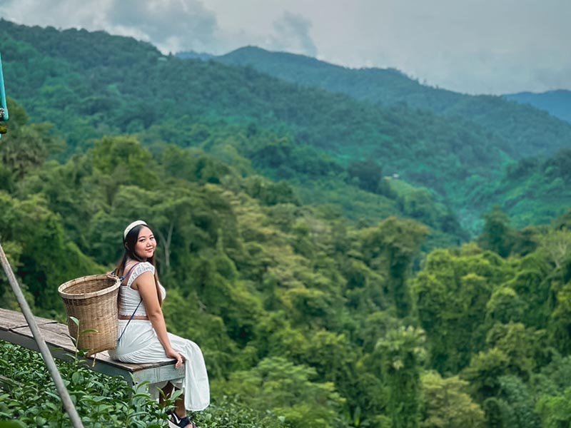 พาเที่ยว ไร่ชาลุงเดช ( Uncle Det's Tea Plantation ) แม่แตง เชียงใหม่ 1734184141Sayhithailand02.jpg