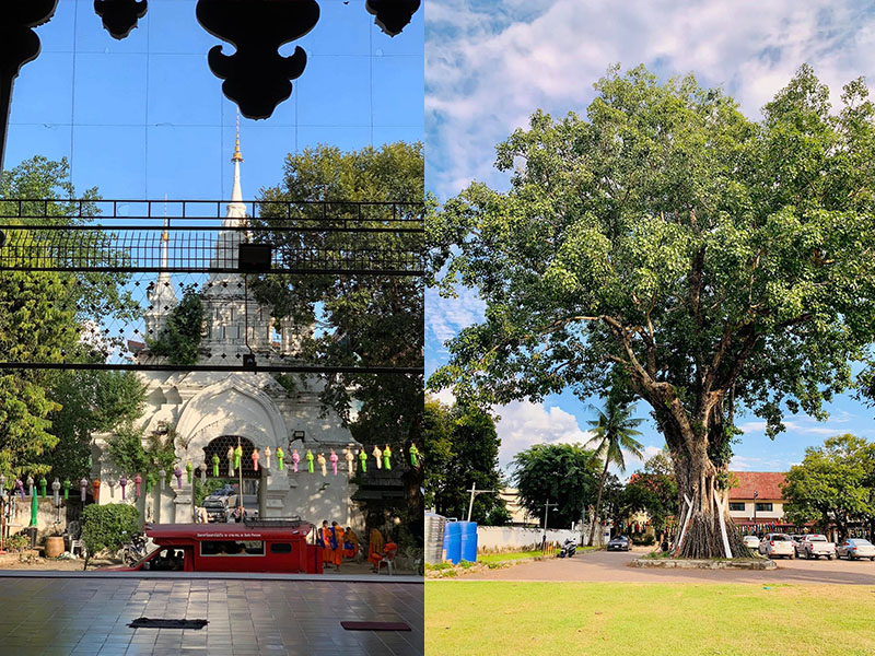ไหว้พระวัดสวย วัดสวนดอก (ที่เที่ยวทางวัฒนธรรมต่างๆ) จังหวัดเชียงใหม่ 1734760740Sayhithailand03.jpg