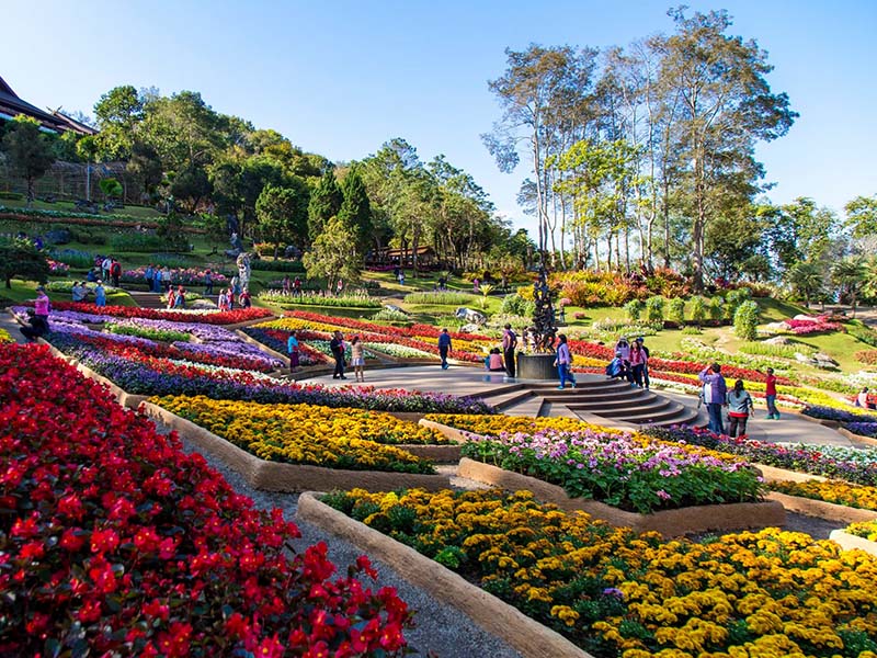 พระตำหนักดอยตุง ดอยแม่ฟ้าหลวง จ.เชียงราย 1738858134Sayhithailand02.jpg