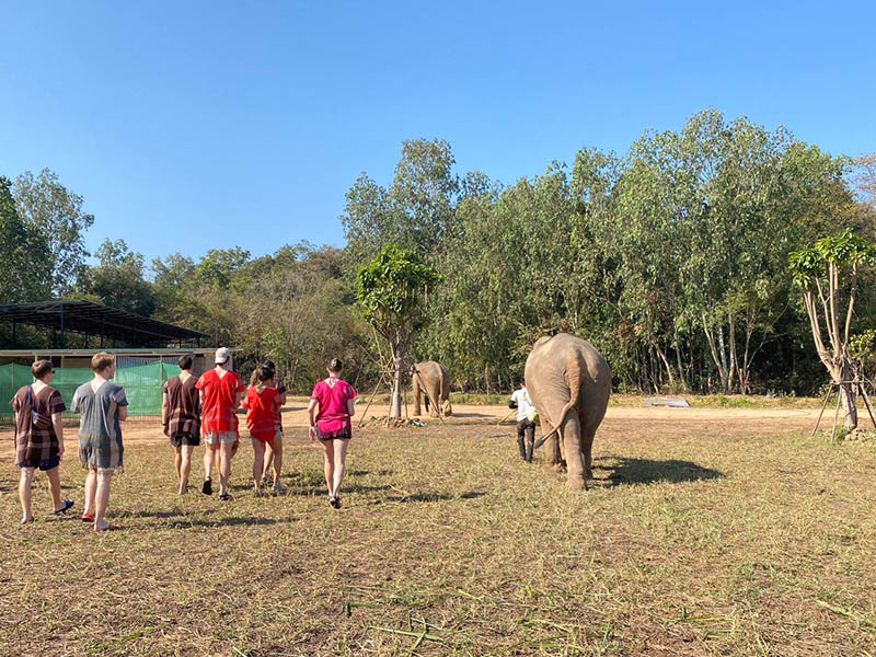 ฟาร์มช้างแสนสนุก ( Elephant Fun Farm @chiangmai ) เชียงใหม่ 1739712081Sayhithailand01.jpg
