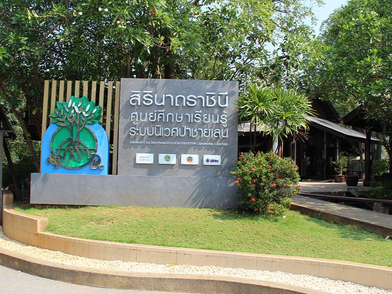 ศูนย์ศึกษาเรียนรู้ระบบนิเวศป่าชายเลนสิรินาถราชินี (Sirinath Rajini Centre ) | ประจวบคีรีขันธ์ 1740821587Sayhithailand02.jpg
