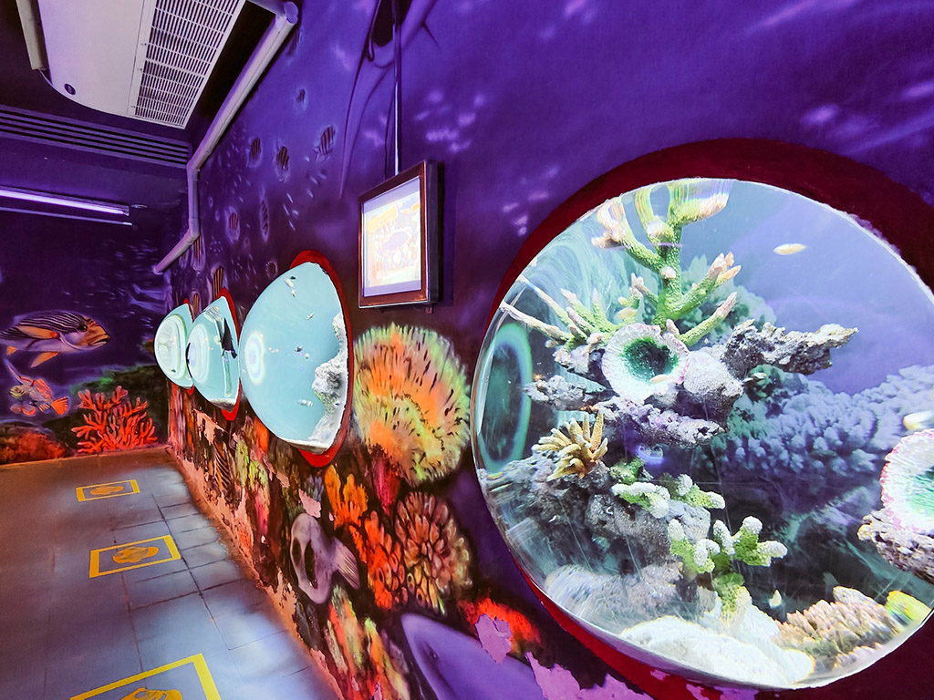 พิพิธภัณฑ์สัตว์น้ำหว้ากอ (Waghor Aquarium) | ประจวบคีรีขันธ์ 1740891339Sayhithailand01.jpg