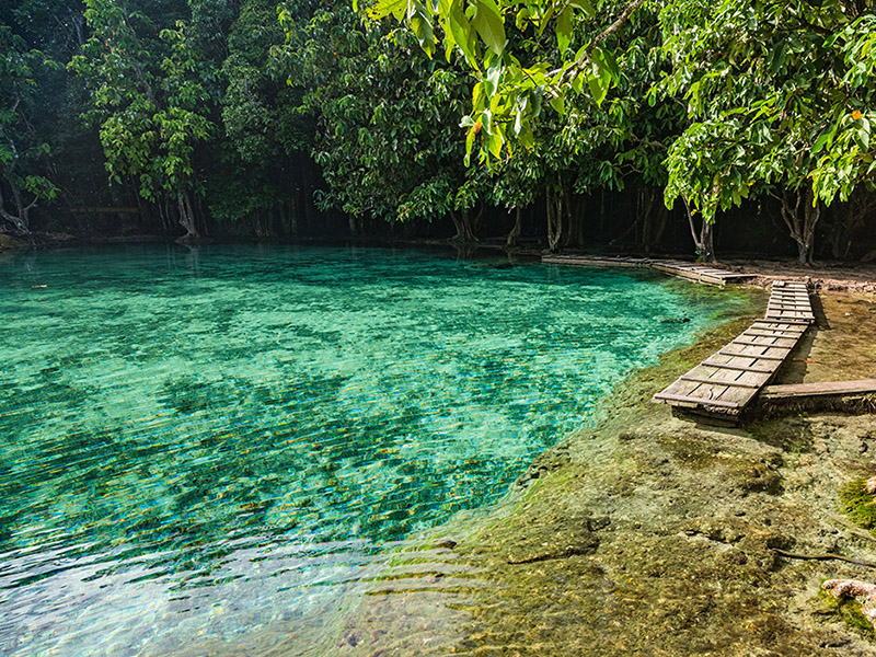 สถานที่ท่องเที่ยว สระมรกต ( Emerald Pool, Krabi ) | กระบี่ 1741016316Sayhithailand01.jpg