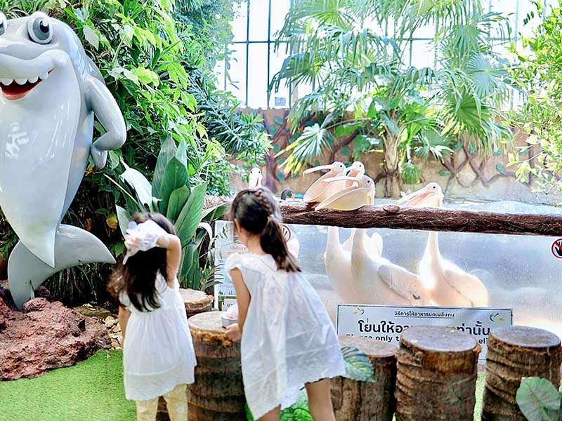 ที่เที่ยวและแหล่งเรียนรู้ มอนสเตอร์ อควาเรียม พัทยา ( Monsters Aquarium Pattaya ) | ชลบุรี 1741409293Sayhithailand02.jpg