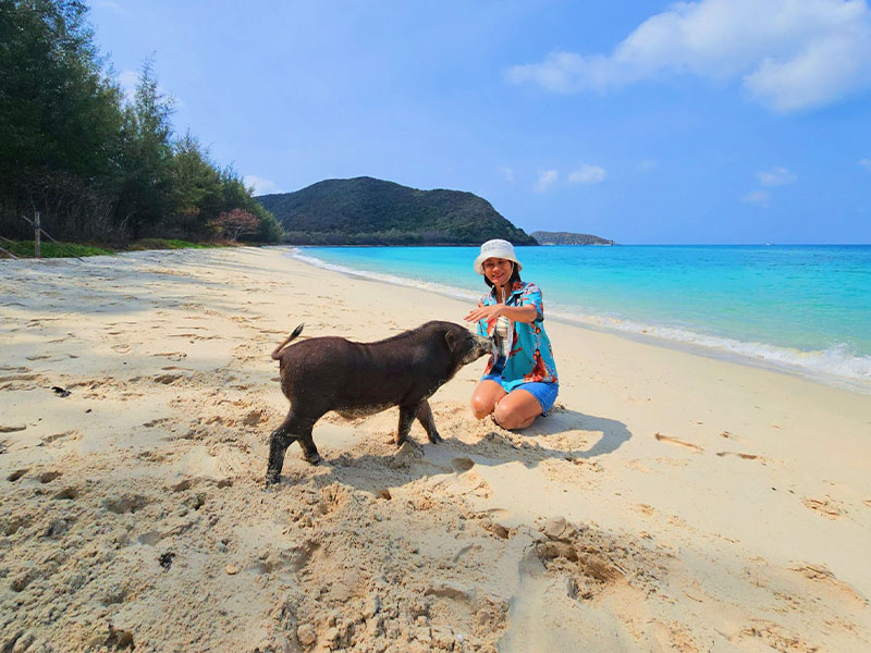 เกาะสวยน้ำใส เกาะแสมสาร และ เกาะขาม สัตหีบ (Koh Samet and Koh Kham) | ชลบุรี 1741531042Sayhithailand02.jpg