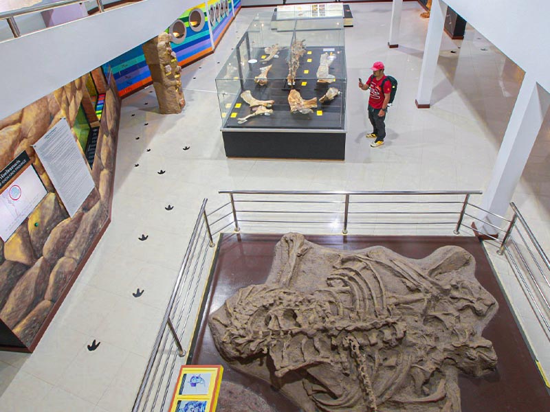 พาเที่ยวพิพิธภัณฑ์ไดโนเสาร์ภูเวียง ( Phu Wiang Dinosaur Museum ) | เวียงเก่า ขอนแก่น 1741959274Sayhithailand02.jpg