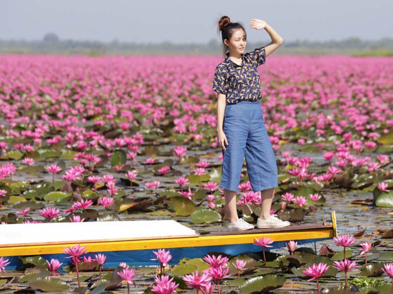 ทะเลบัวแดง ( Talay bua daeng) หนองหานกุมภวาปี พื้นที่อนุรักษ์ ทะเลสาบ | อุดรธานี 1742099907Sayhithailand01.jpg