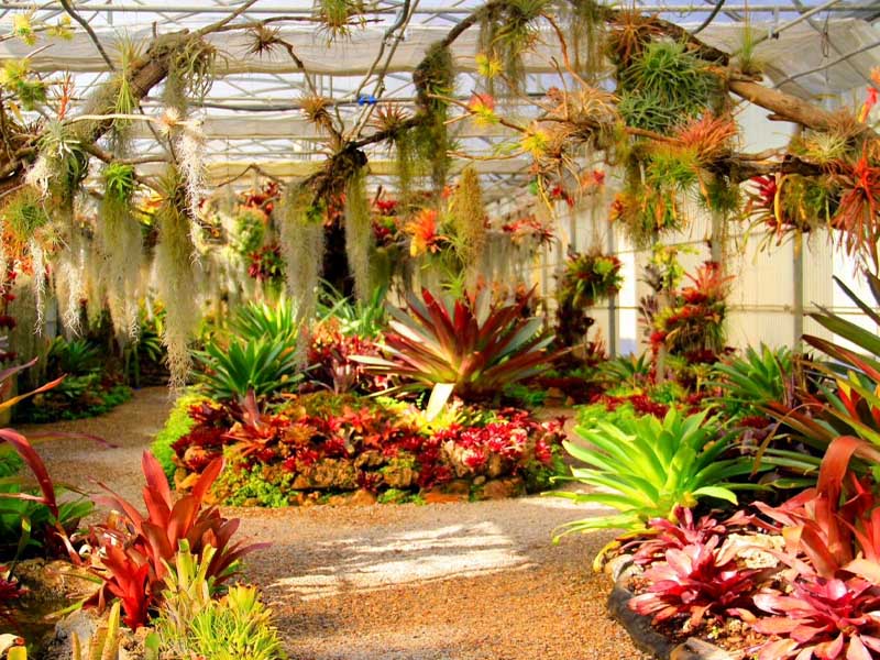พาเที่ยว สวนพฤกษศาสตร์สมเด็จพระนางเจ้าสิริกิติ์ ( Jardín Botánico Reina Sirikit ) | เชียงใหม่ 1742698373Sayhithailand02.jpg