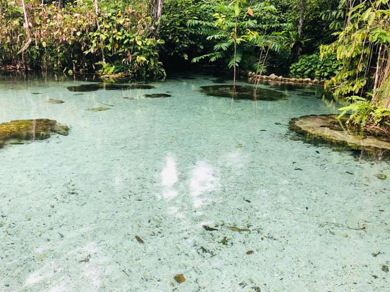 พาเที่ยว ป่าต้นน้ำ บ้านน้ำราด ( Headwater forest, Ban Nam Rat ) Unseen สุราษฎร์ธานี 1742821803Sayhithailand01.jpg