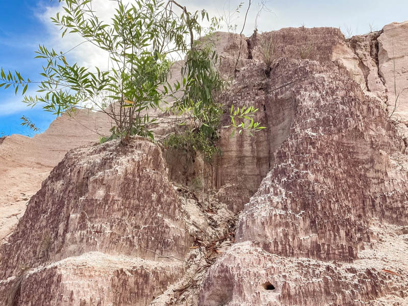 เนินทรายเหมืองแกะ ( Sheep Mine Sand Dunes @SuratThani ) วิวทิวทัศน์ที่สวยงาม สวยปัง | สุราษฎร์ธานี 1743229325Sayhithailand02.jpg