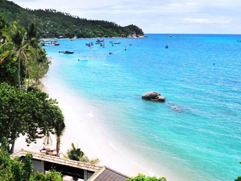 พาเที่ยว เกาะเต่า ( Koh Tao @ SuratThani ) Unseen ที่เที่ยวสุราษฎร์ธานี | สุราษฎร์ธานี 1743231325Sayhithailand01.jpg