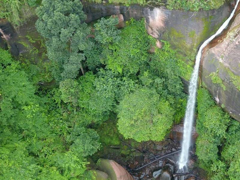 พาเที่ยว น้ำตกตาดิมานทิพย์ (Taddimanthip Waterfall @BuengKan ) | บึงกาฬ 1743926862Sayhithailand01.jpg