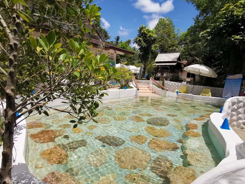 ธารน้ำร้อนบ่อคลึง (Bo Klueng Hot Springs) ทิวเขาตะนาวศรี อำเภอสวนผึ้ง | จังหวัดราชบุรี 1744864817Sayhithailand02.jpg