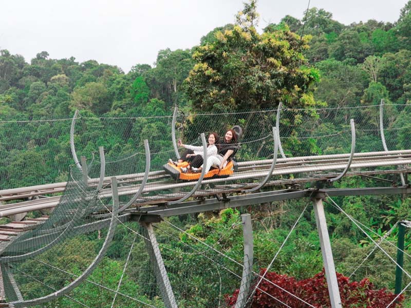 โป่งแยงจังเกิ้ลโคสเตอร์ & ซิปไลน์ (Pongyang Jungle Coaster Zipline Camp&Resort ) เชียงใหม่ 1744960519Sayhithailand01.jpg