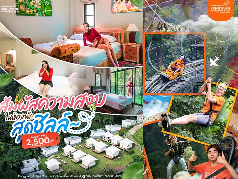 โป่งแยงจังเกิ้ลโคสเตอร์ & ซิปไลน์ (Pongyang Jungle Coaster Zipline Camp&Resort ) เชียงใหม่ 1744960887Sayhithailand02.jpg