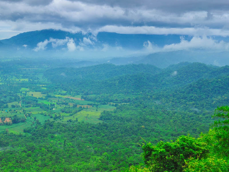 ที่ท่องเที่ยวปราจีนบุรี อุทยานแห่งชาติทับลาน ( Thap Lan National Park ) | ปราจีนบุรี 1750170329Sayhithailand01.jpg
