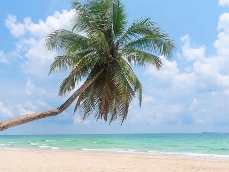 หาดทุ่งวัวแล่น ( Tung Wua Laen Beach ) ชายหาดปะทิว | ชุมพร 1753537961Sayhithailand02.jpg