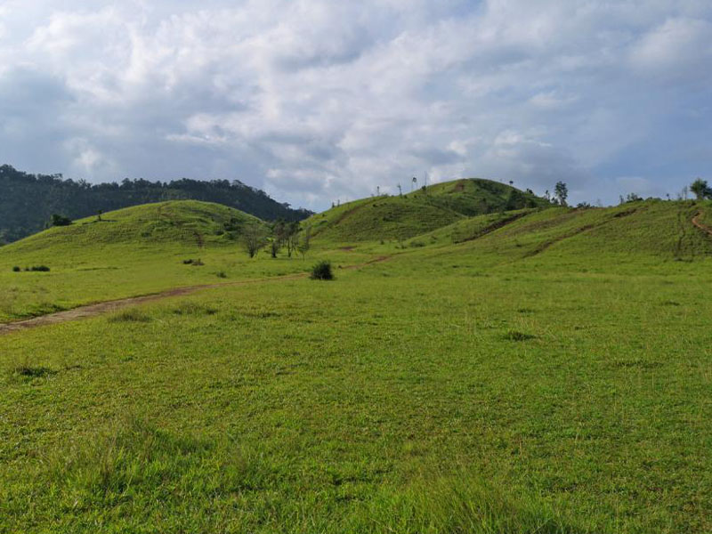 พาเที่ยวภูเขาหญ้า (เขาหัวล้าน) ตำบลหงาว อำเภอเมืองระนอง | ระนอง 1753582924Sayhithailand01.jpg