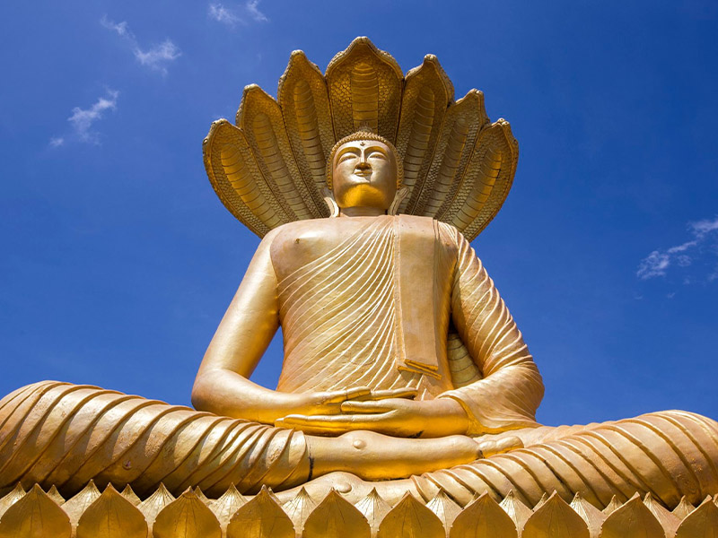 1755781476Sayhithailand02.jpg