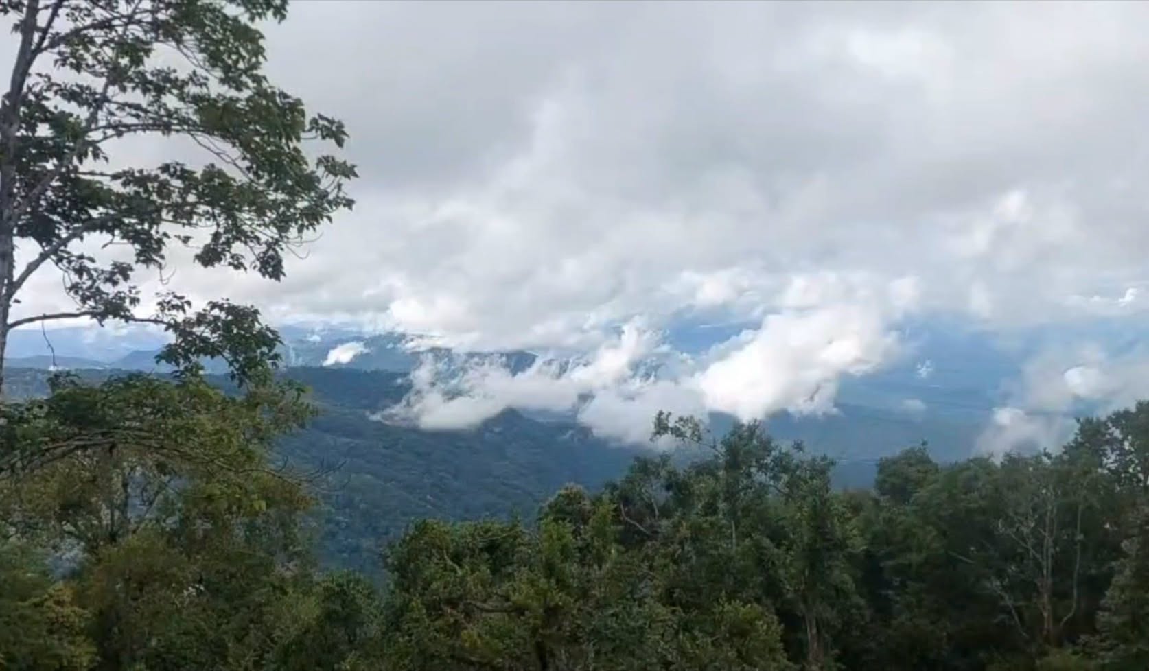 Doi Hua Mu ( Conquering the Summit of Doi Pui ) | Chiang Mai