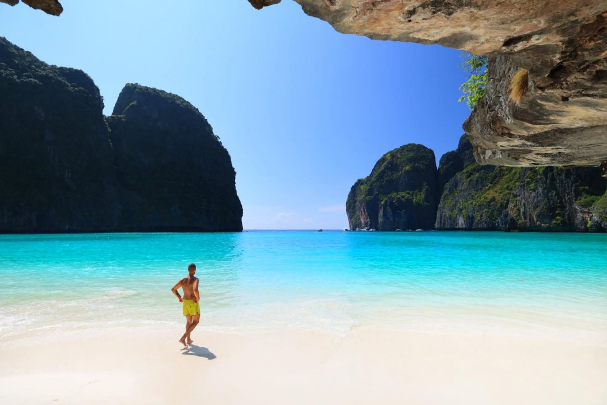 Maya Bay is located on Koh Phi Phi Leh  |  Krabi 