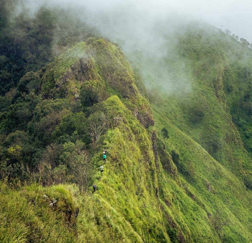 Doi Phu Kha National Park | Nan