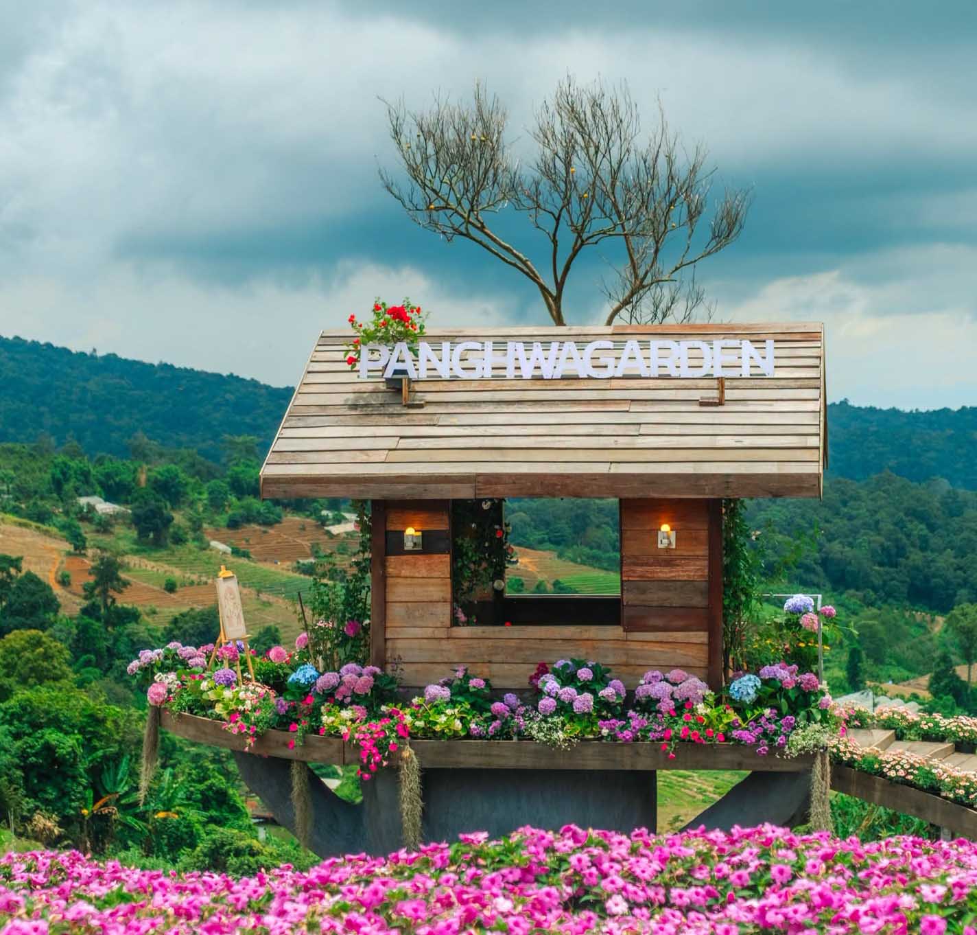Pang Hwa Flower Garden & Orange Orchard | Chiang Mai