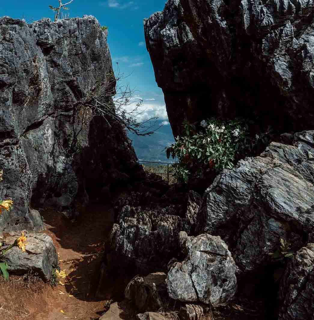 Chong Khao Khad, Doi Pha Tang, Tambon Po, Wiang Kaen District | Chiang Rai