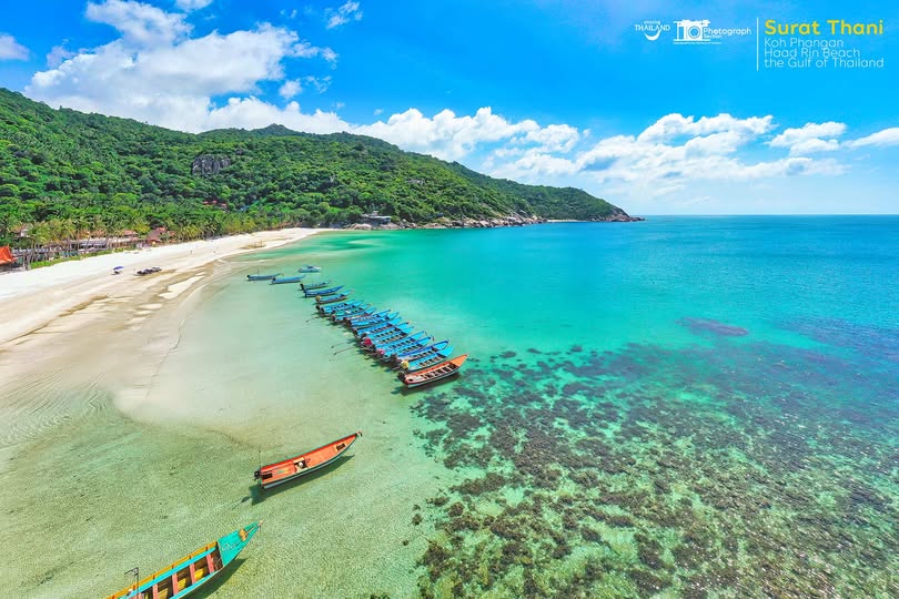 Haad Rin beach on Koh Phangan | Surat Thani