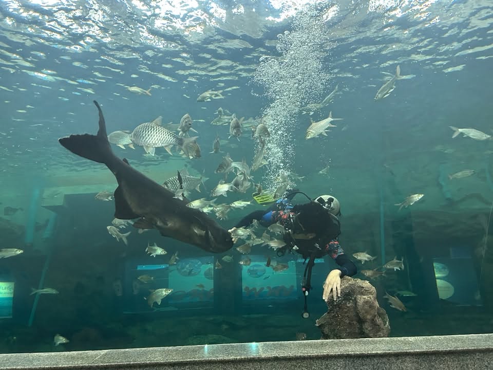 Freshwater Aquarium : Maekong Underwater World | Nakhon Phanom