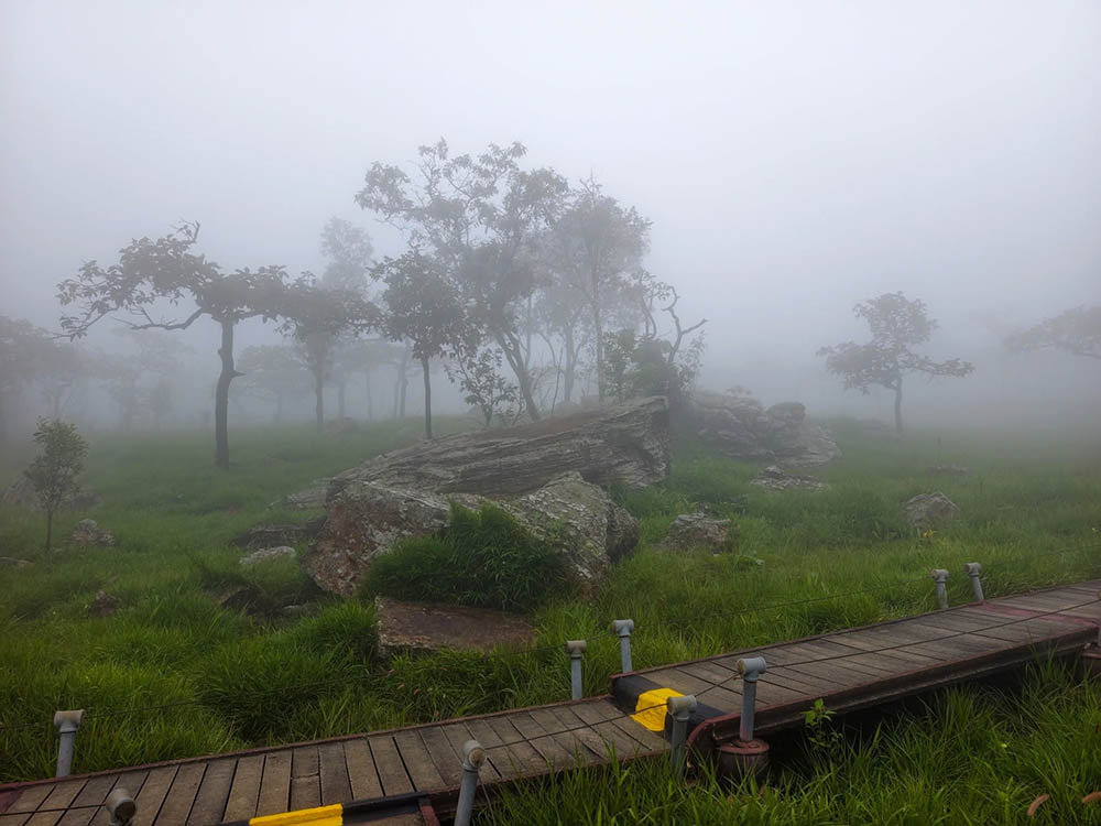Pa Hin Ngam National Park, Ban Rai | Chaiyaphum