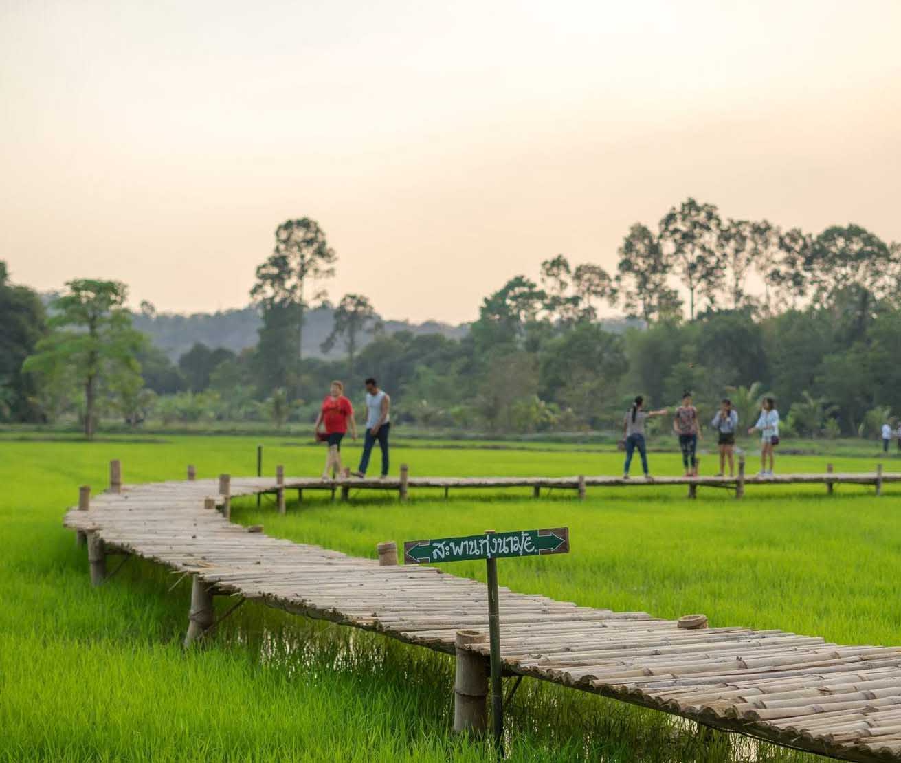 Thung Na Mui Bridge, Sarika Subdistrict | Nakhon Nayok