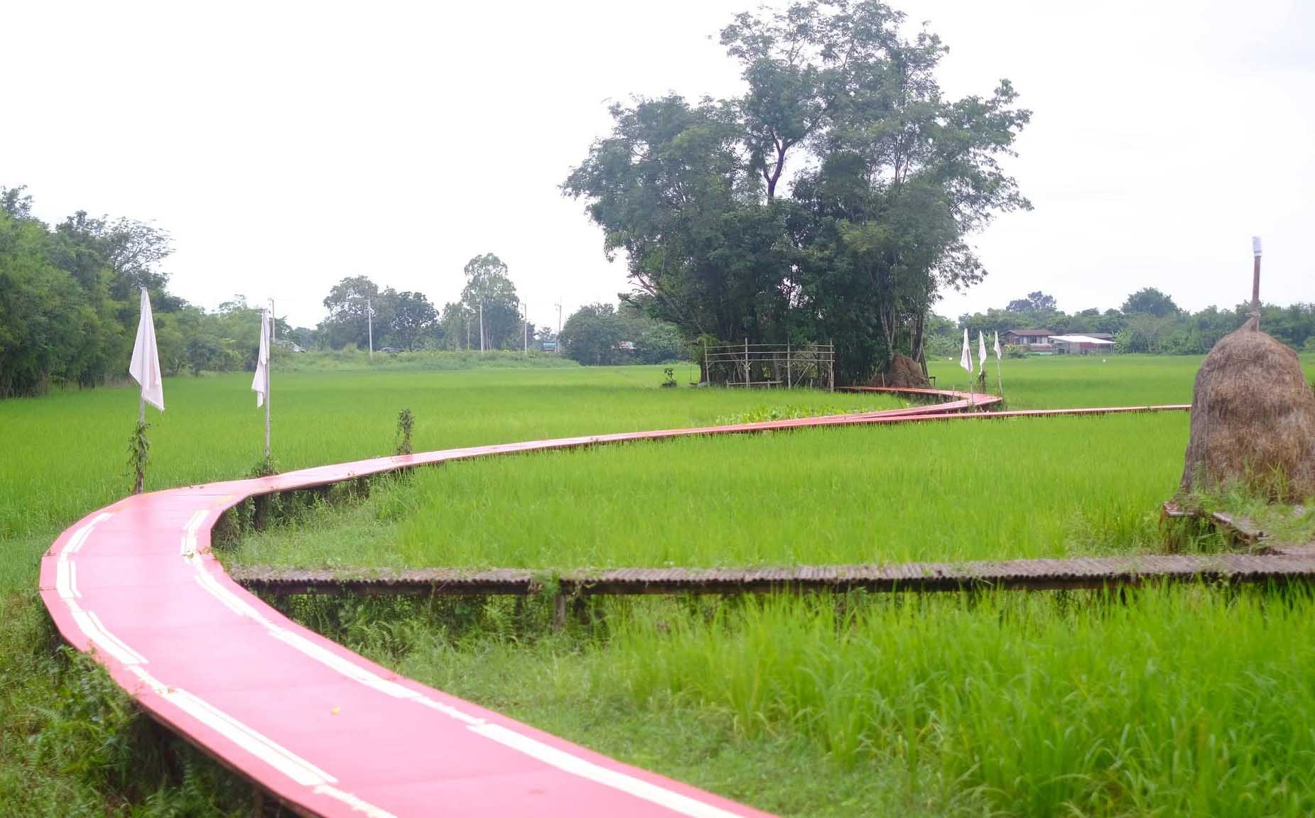 Phu Kraieng Learning Center  , Si Nawa Subdistrict | Nakhon Nayok