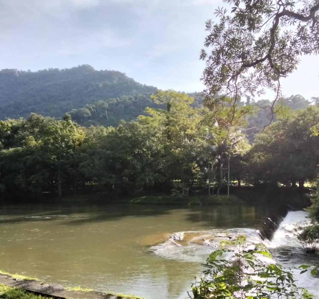 Wang Ta Khrai Park, Mueang Nakhon Nayok District | Nakhon Nayok